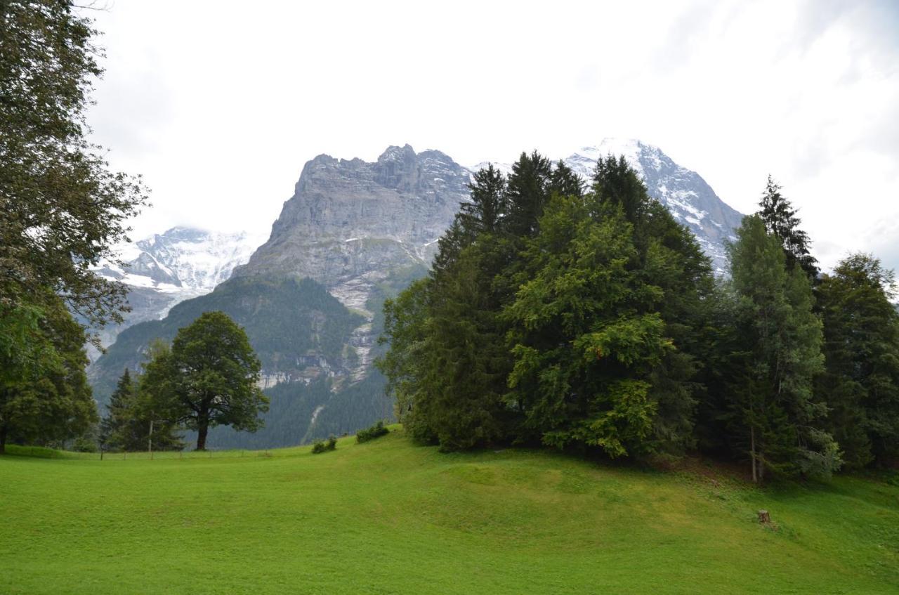Apartment Grindelwaldgletscher - Griwa Rent Ag Kültér fotó