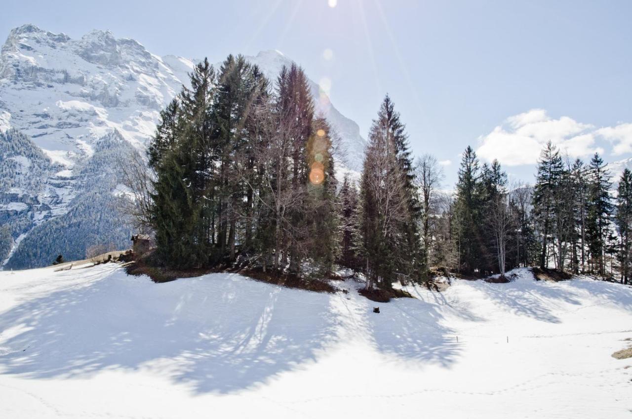 Apartment Grindelwaldgletscher - Griwa Rent Ag Kültér fotó